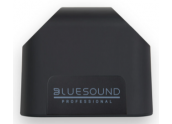 BlueSound BSP200 | Altavoz para Transmisión en Red - oferta Comprar